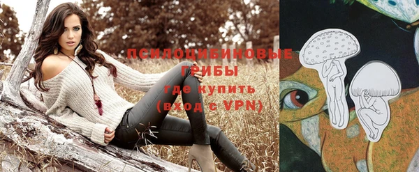 гидра Беломорск