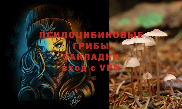 гидра Беломорск
